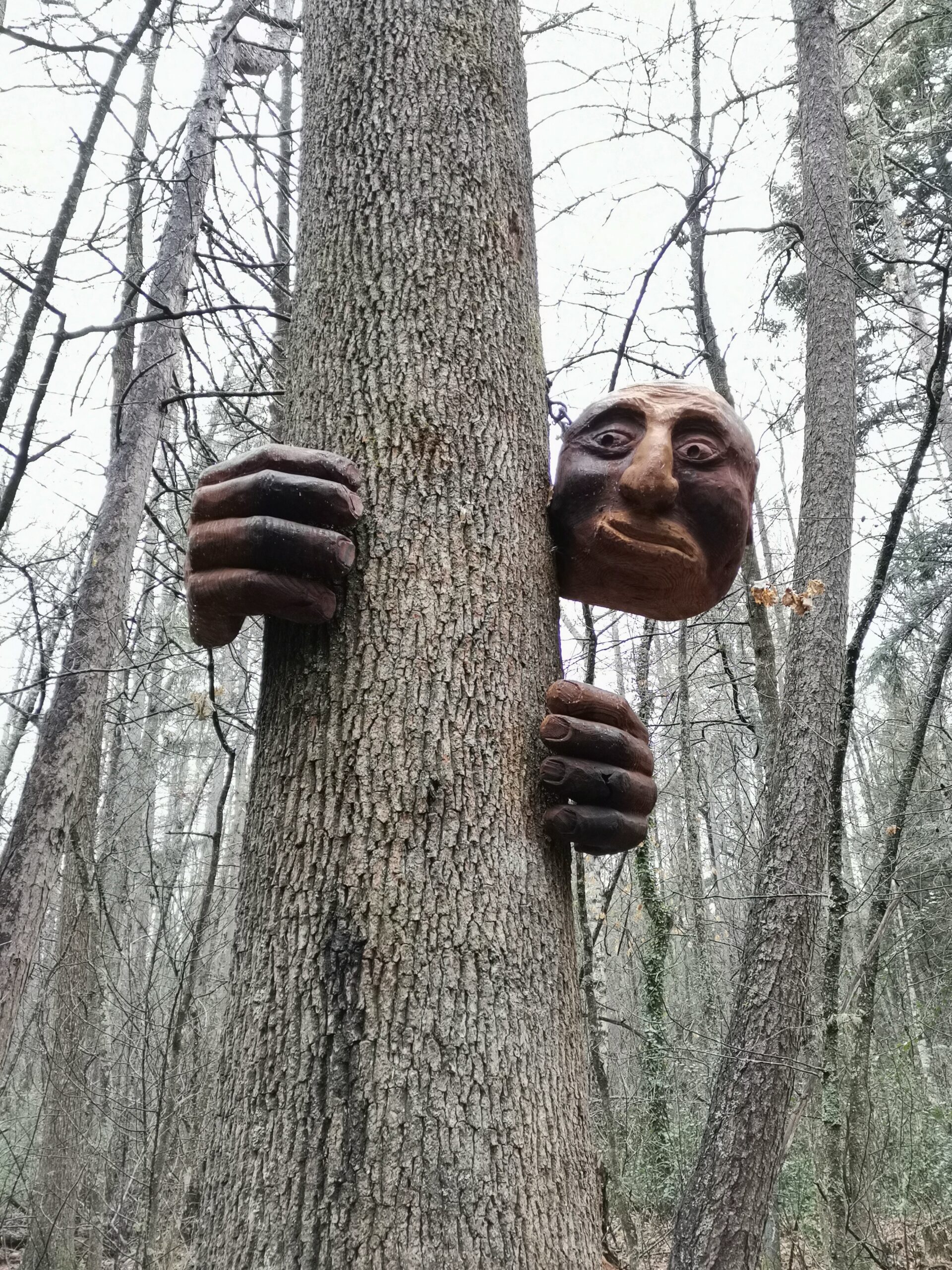 汉默温泉徒步路线测评：魔法木雕森林（5⭐️）
