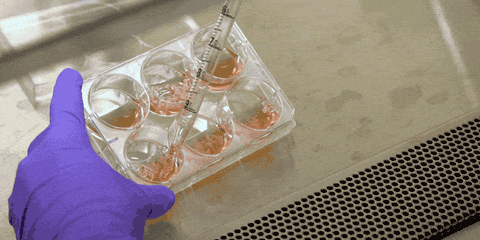 美国重启新冠病毒实验室起源论调查（视频）