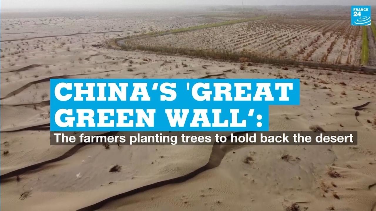 China’s ‘Great Green Wall’: The farmers planting trees to hold back the desert | France 24