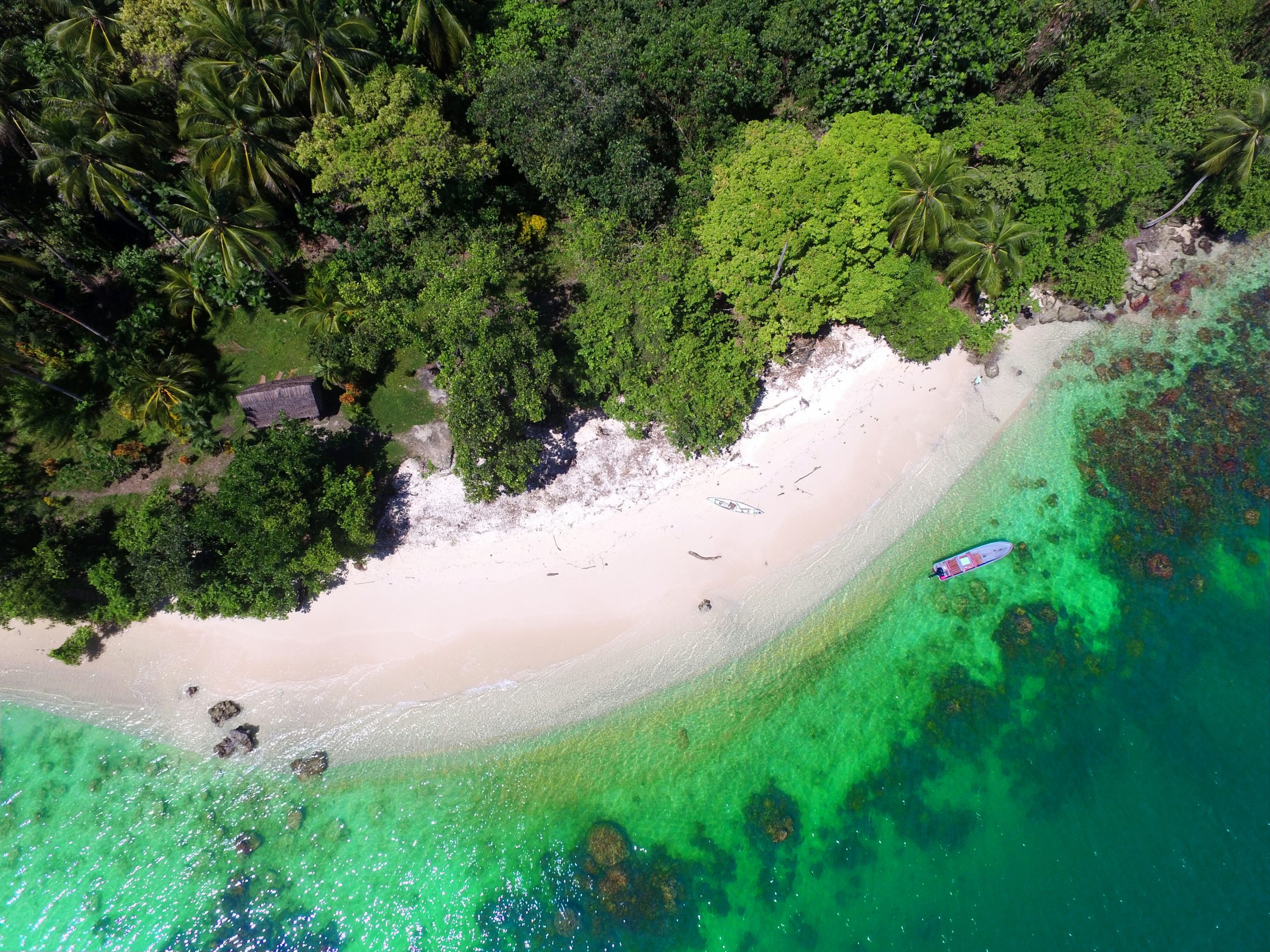走近巴布亚新几内亚：热带自然风光，生活原始，治安差