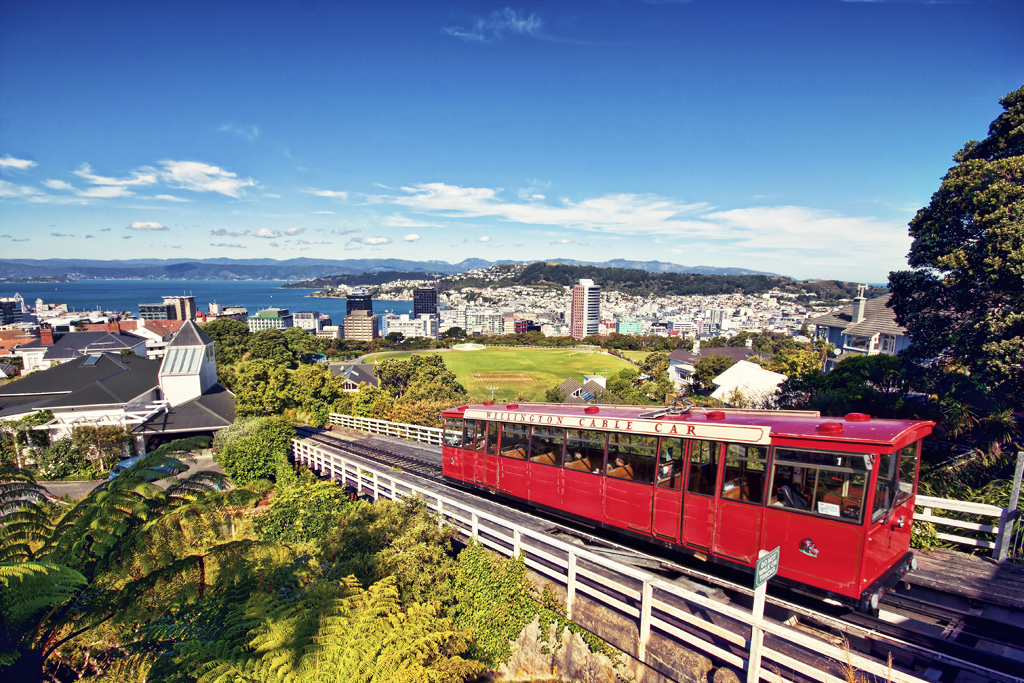 新西兰全搜索TV超清4K频道：惠灵顿植物园的缆车游园，如同穿梭时空隧道