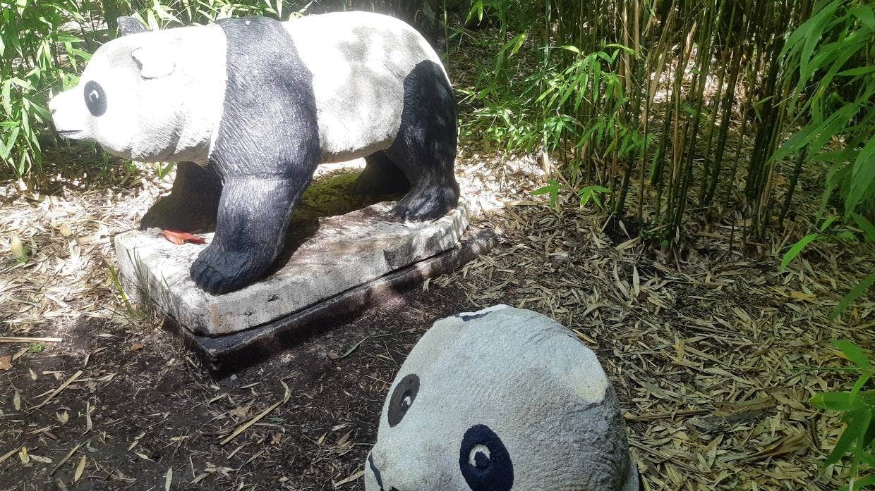 奥马鲁中国园熊猫耳朵被偷，园方谴责破坏者混蛋