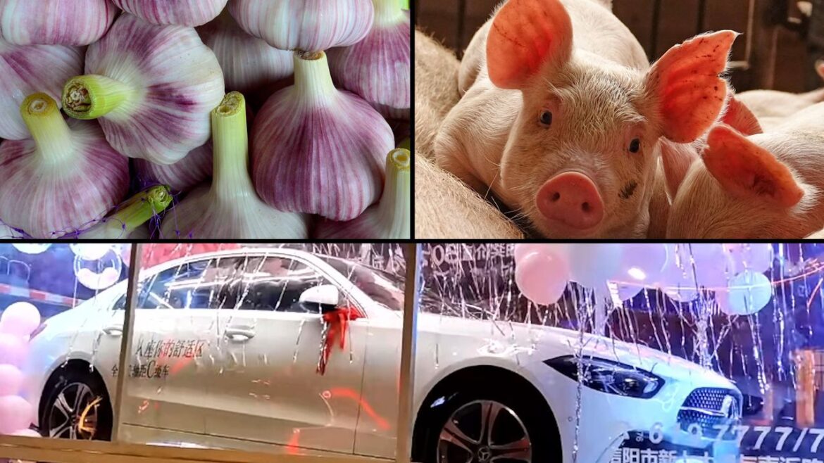 China’s Property Developers Offer Cars, Pigs as Real Estate Confidence Wanes 为重振消费者购房信心，中国房产开发商买房送车、生猪 | WSJ 华尔街日报