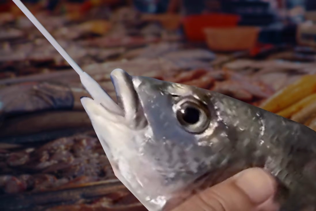 中国厦门给鱼虾做核酸检测，遭全球媒体群嘲