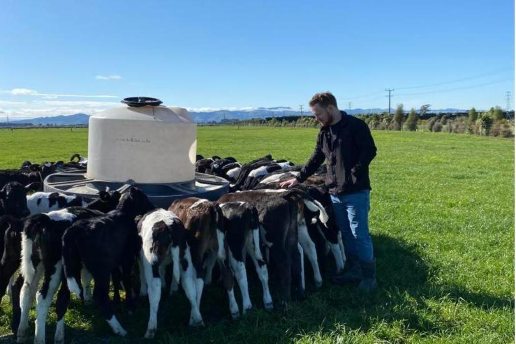 倡导环保：坎特伯雷大学与当地农场合作，使用可持续牛奶