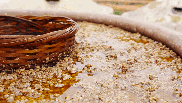 农场百科012: 中国千年古法酿制的酱油是如何制作的？