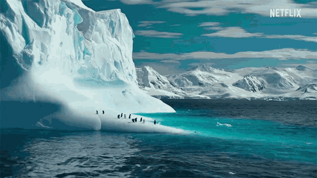 超级奢华南极六星级邮轮旅游热销，一趟花费超四万新元