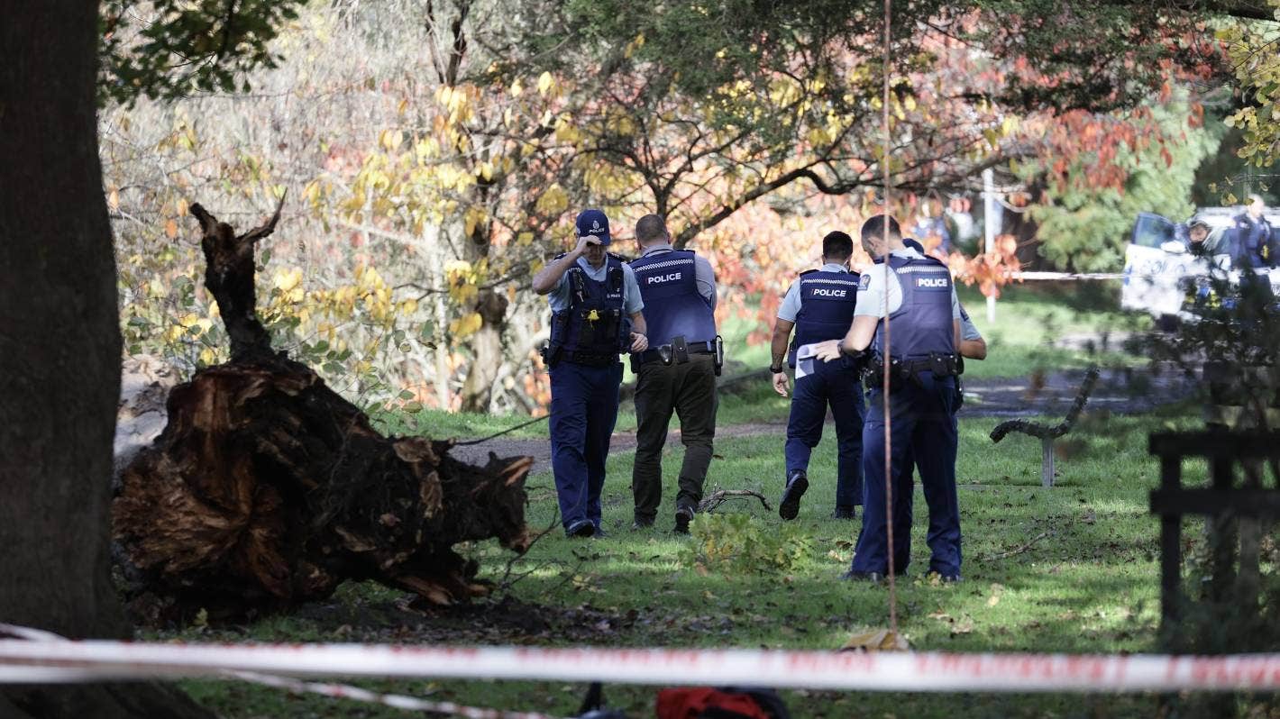 基督城海格力公园树木倒塌，正工作的树艺师丧生