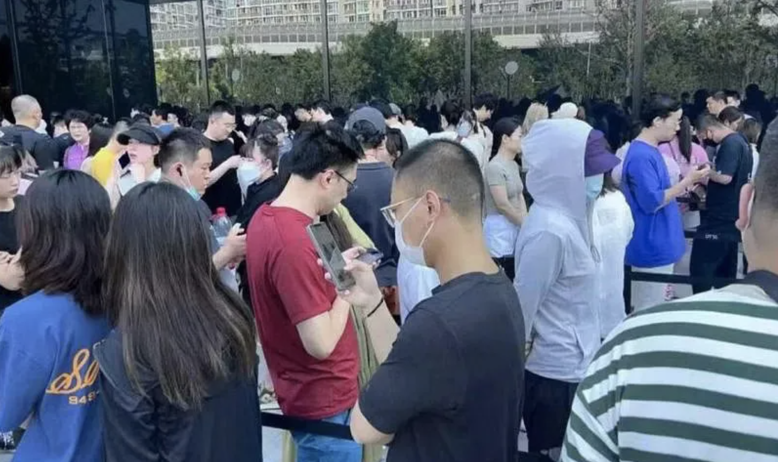 加拿大鹅打半折北京市民排队四小时