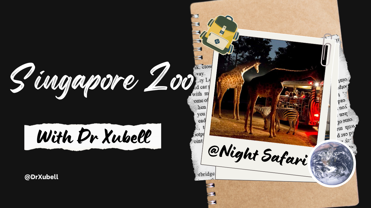 Lion City Travel Special Ep5: Singapore Zoo & Night Safari