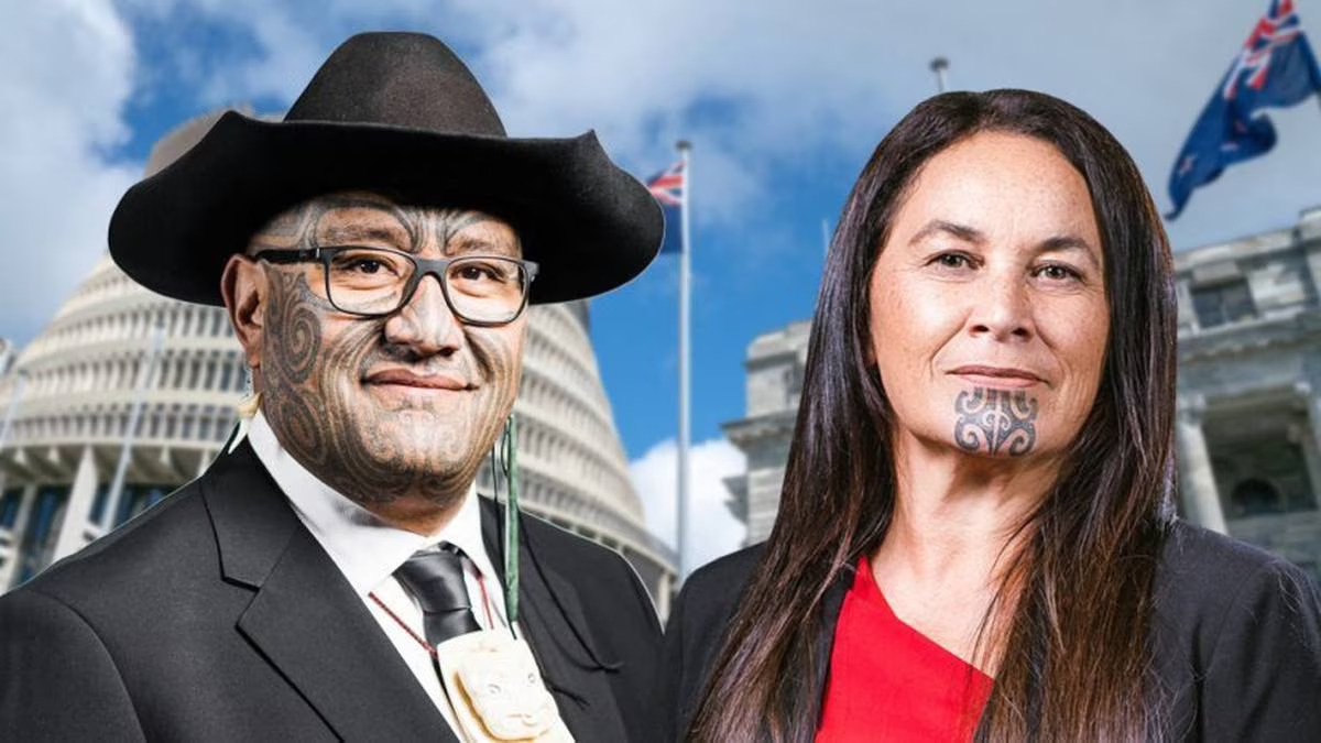 2023 NZ General Election Special: Māori Party Response to our Policy Enquiries