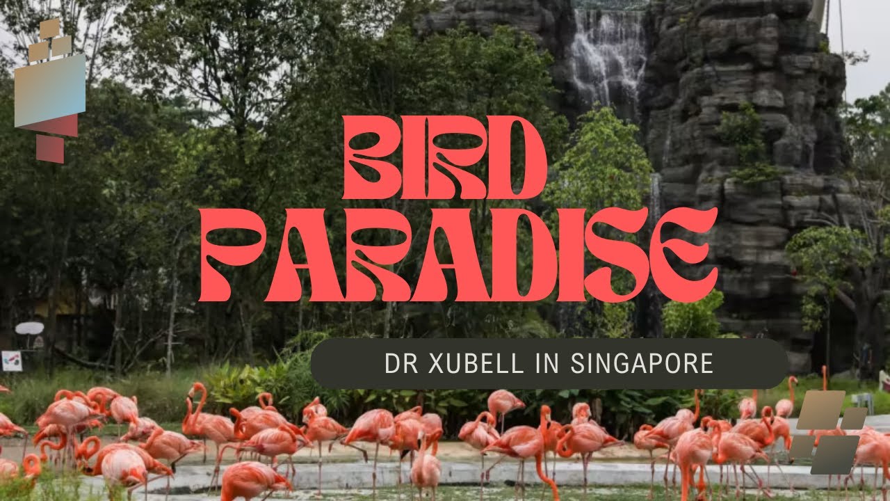 Lion City Travel Special Ep3: Bird Paradise