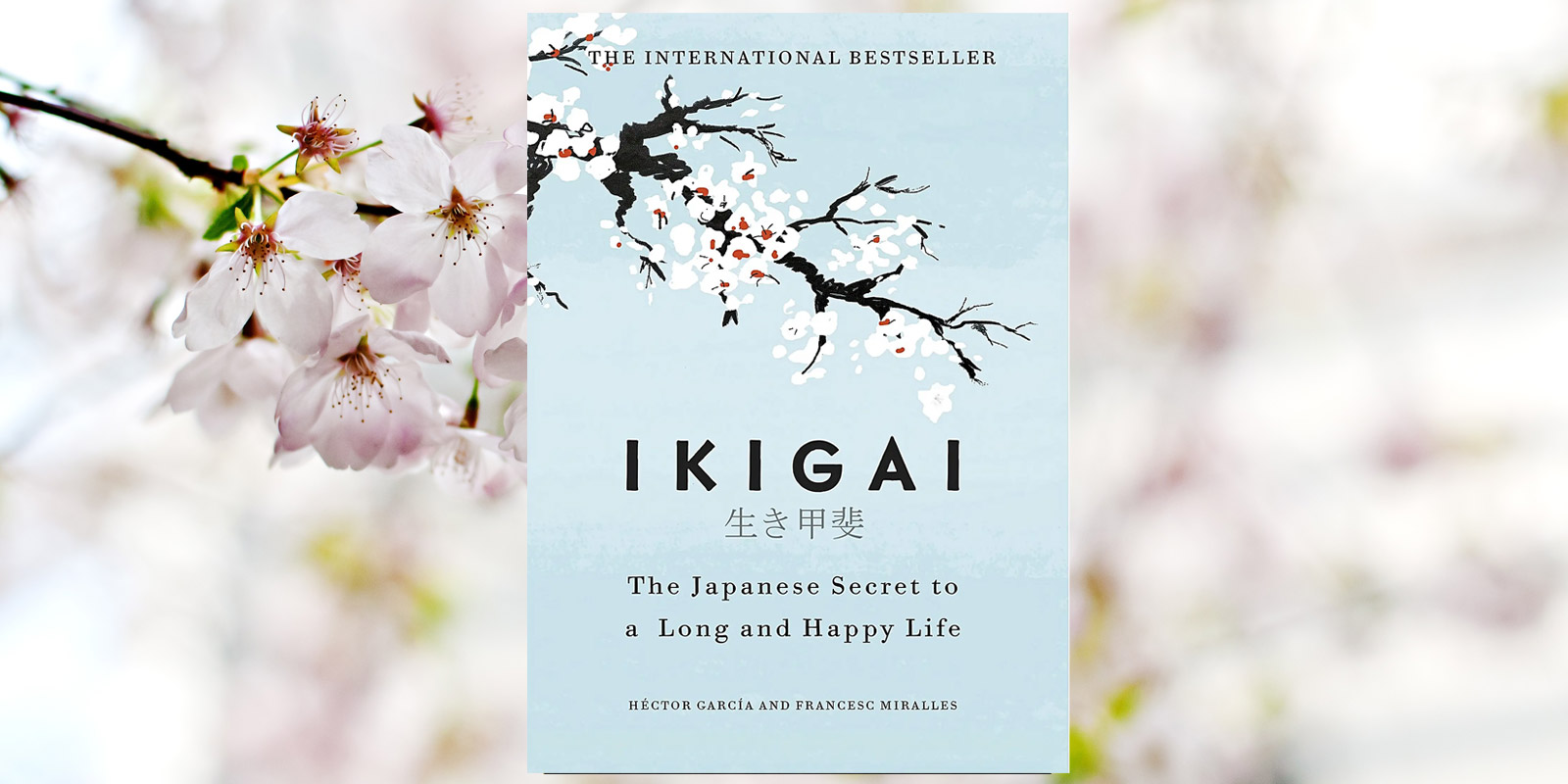 《IKIGAI – 理解日本人的长寿秘诀》书评