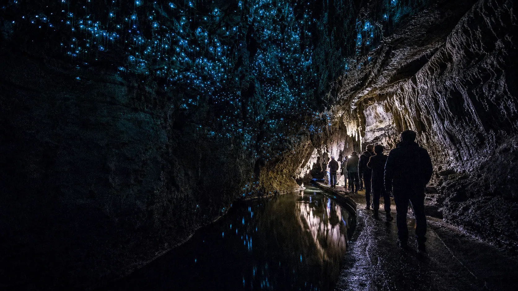 冬天去怀托摩，不只是看萤火虫：石灰岩、雨水与黑暗共同塑造的旅程
