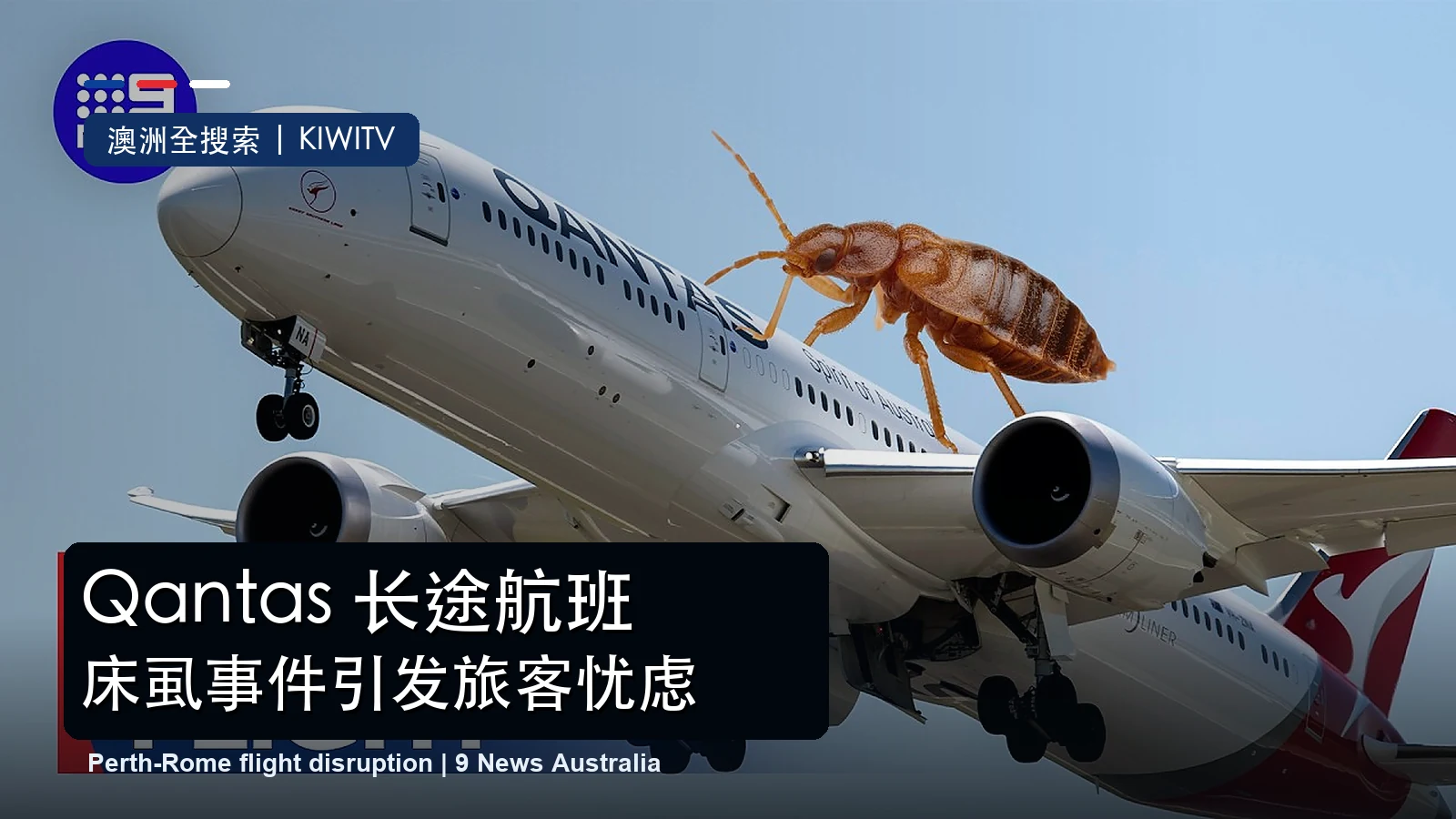 9 News Australia 关于 Qantas 珀斯至罗马航班床虱事件报道的真实视频缩略图改制封面